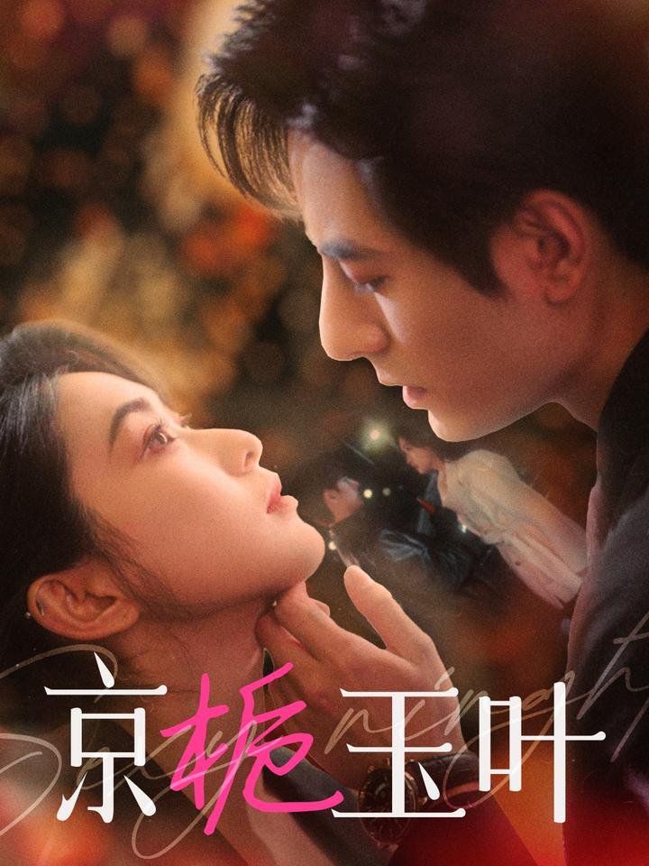 京栀玉叶 第1-20集