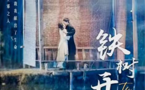 铁树开花 第41-80集完结(大结局)