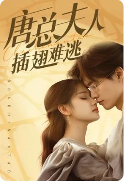 唐总夫人插翅难逃 第31-60集