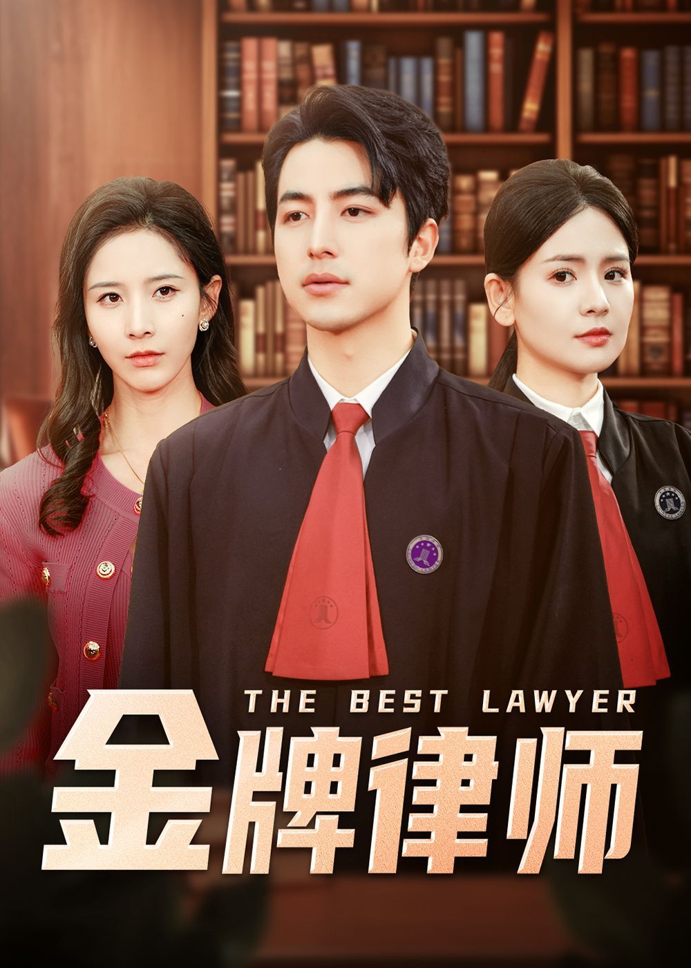 金牌律师 第21-48集完结(大结局)