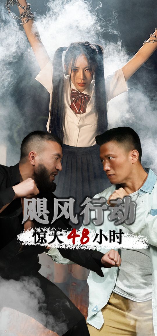 飓风营救惊天48小时 第1-20集