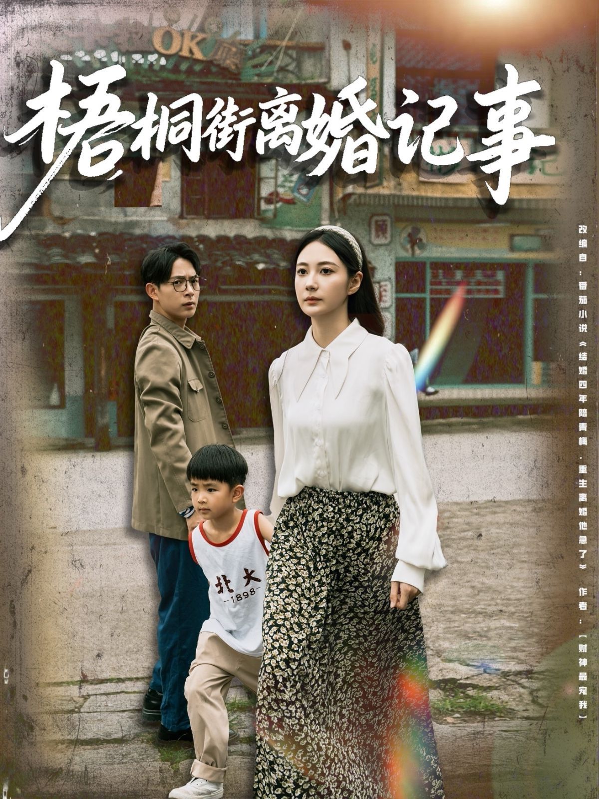 梧桐街离婚记事(全集)