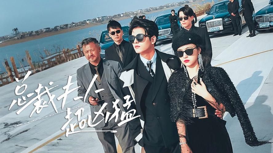 总裁夫人超凶猛 第1-20集