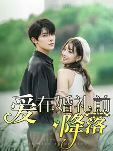 爱在婚礼前降落 第21-50集完结(大结局)