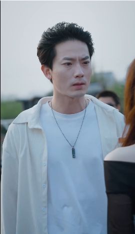 特种上门女婿 第61-80集