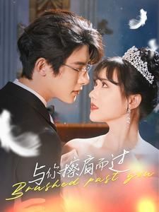 与你擦肩而过 第61-80集完结(大结局)