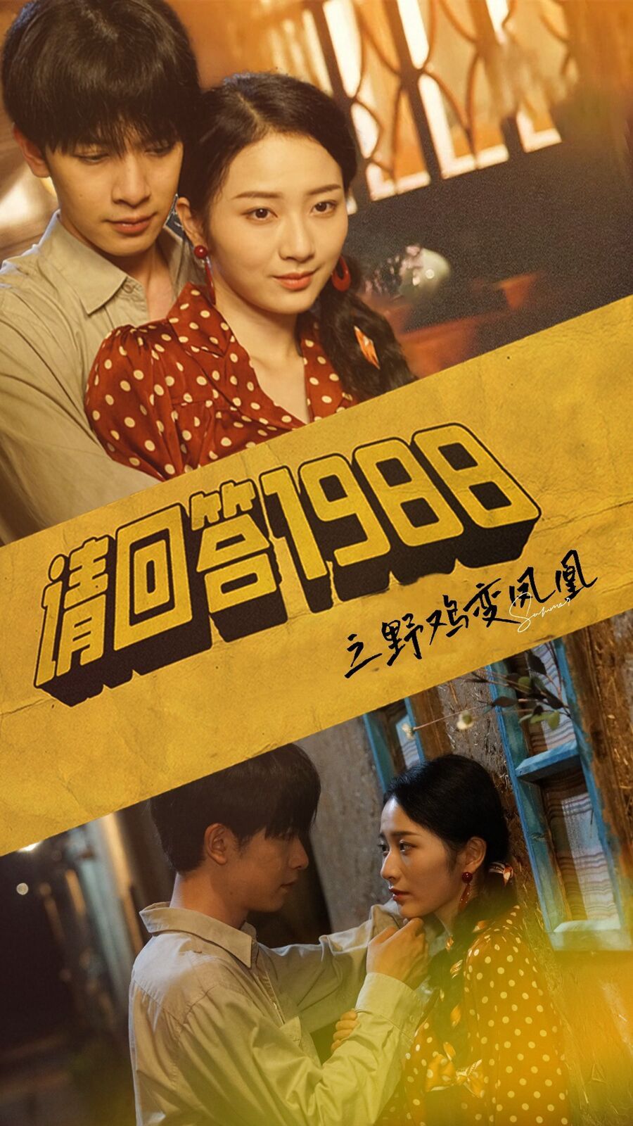 请回答1988之野鸡变凤凰 第1-20集