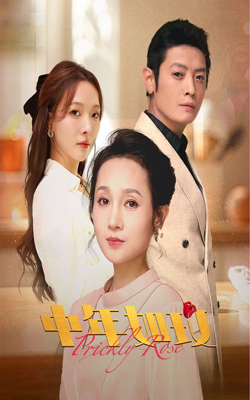 中年如玫 第41-68集完结(大结局)