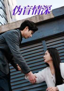 伪盲情深 第1-20集