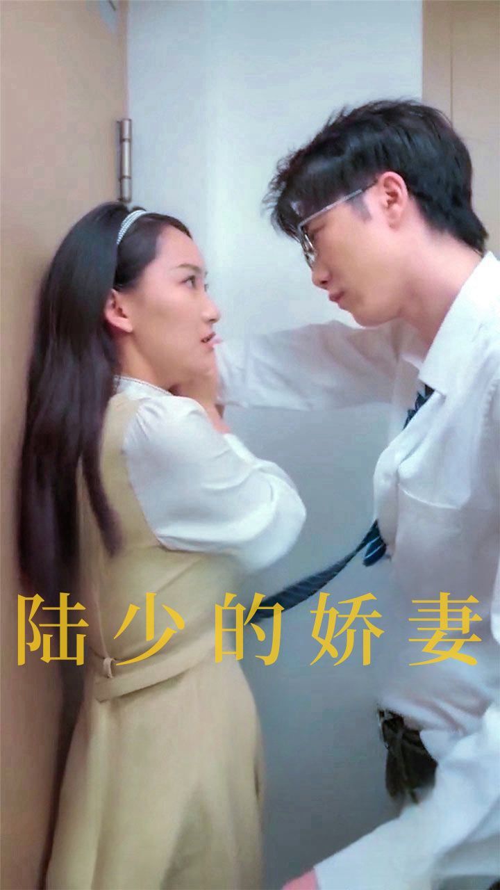 陆少的娇妻 第61-80集