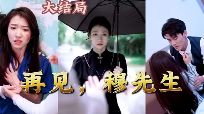 再见，穆先生 第1-20集