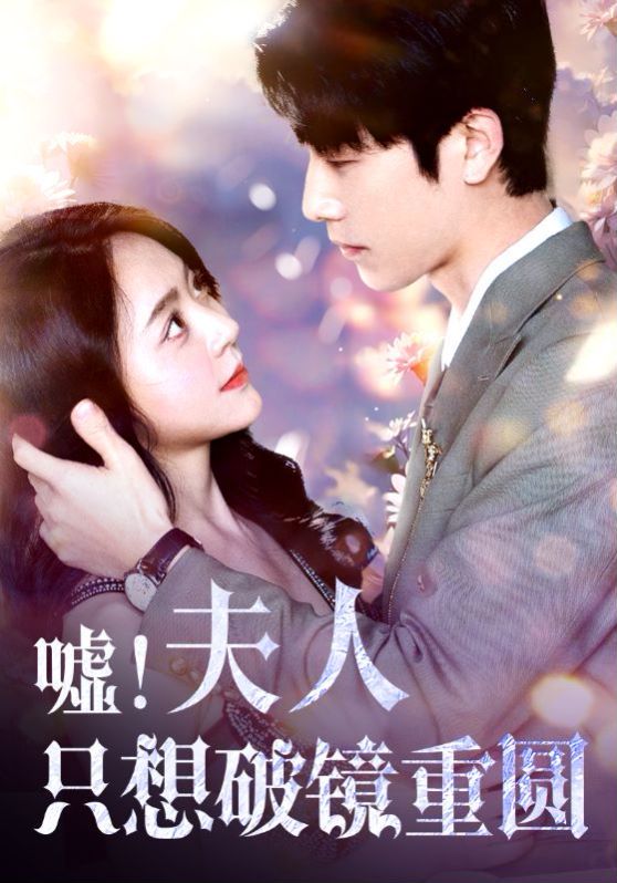 嘘夫人只想破镜重圆 第21-40集