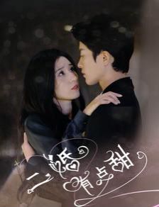 二婚有点甜 第21-40集