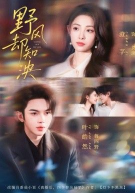 野风却知泱(全集)