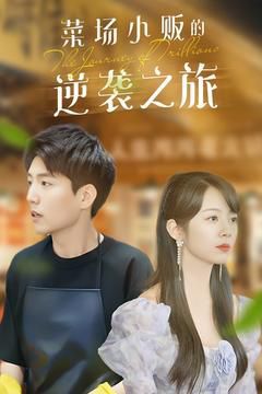 菜场小贩的逆袭之旅 第41-60集