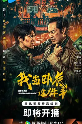 我当卧底这件事