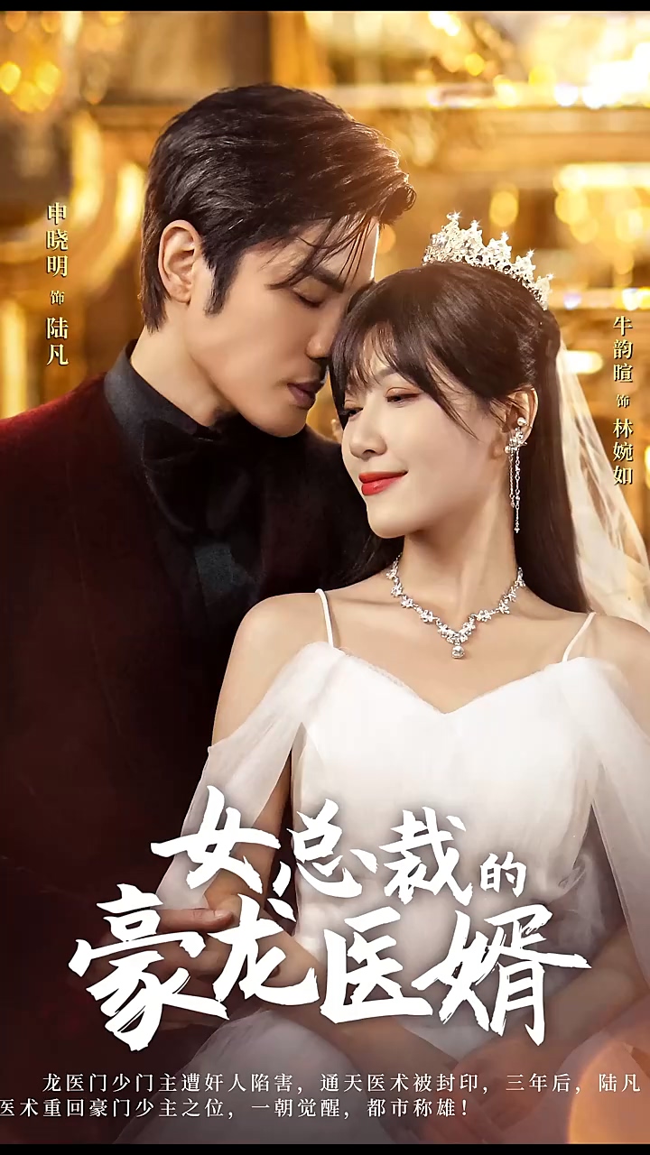 女总裁的豪龙医婿 第01集