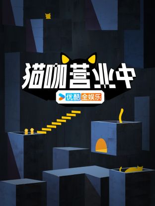 猫咖营业中 20240403