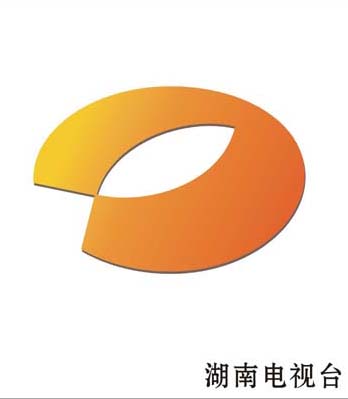 2010金芒果粉丝节 第02集(大结局)