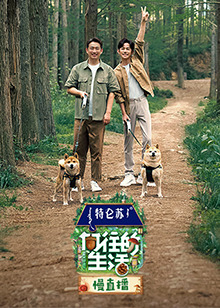 向往的生活第七季慢直播 20230430