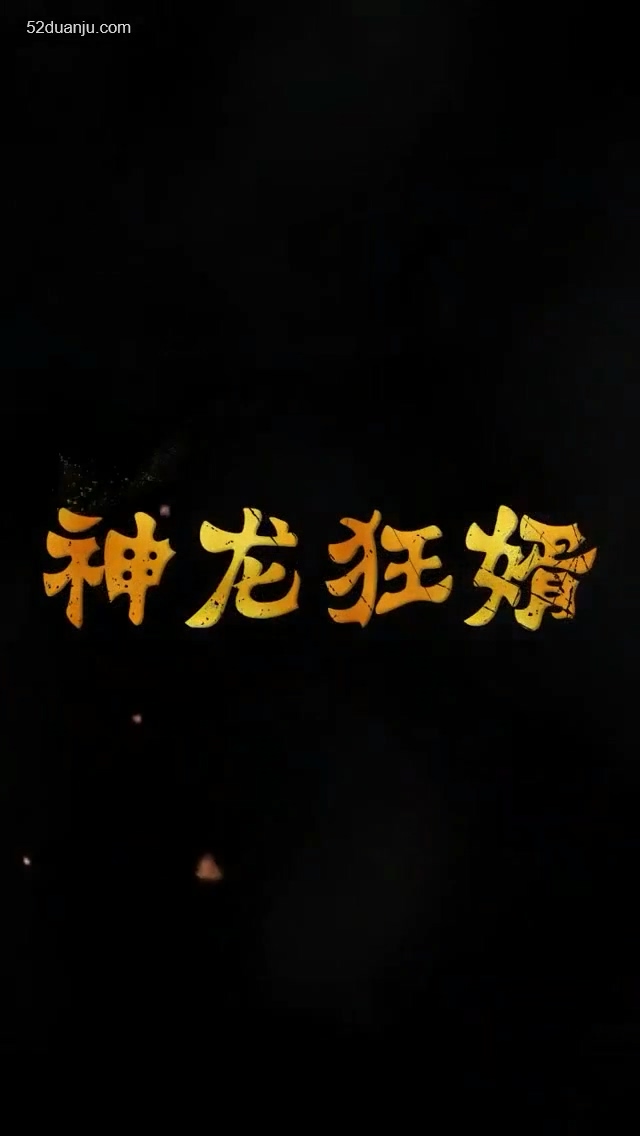 神龙狂婿合集版 第01集(大结局)