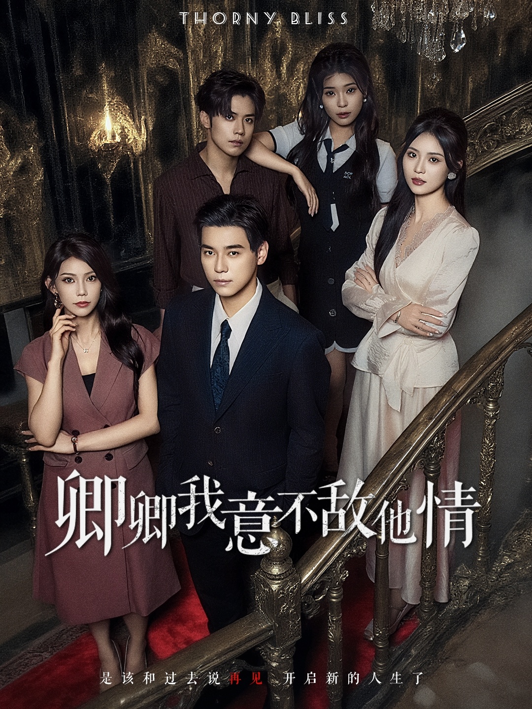 卿卿我意不敌他情(全集)